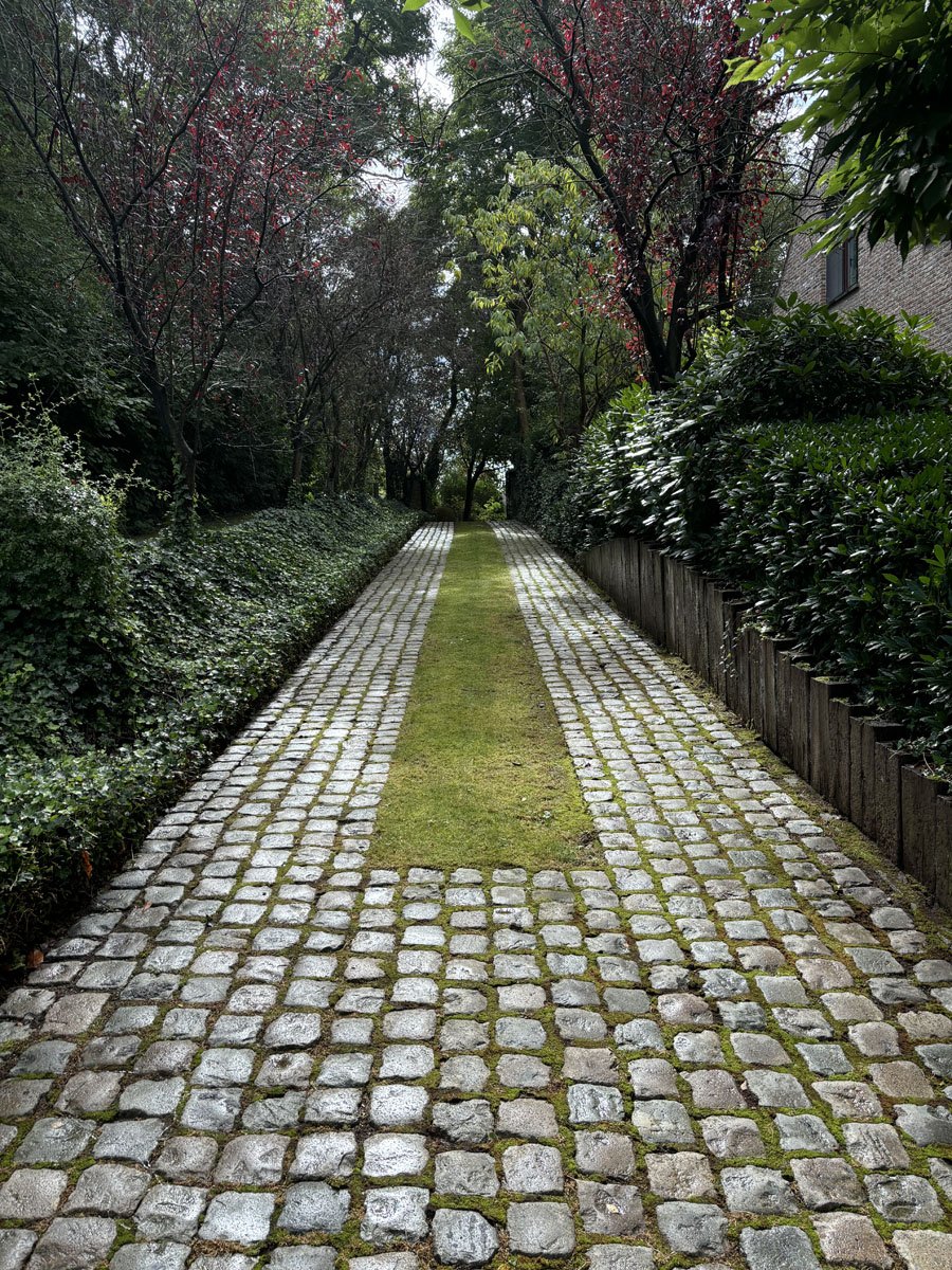 Allée pavée entre des massifs et des arbres